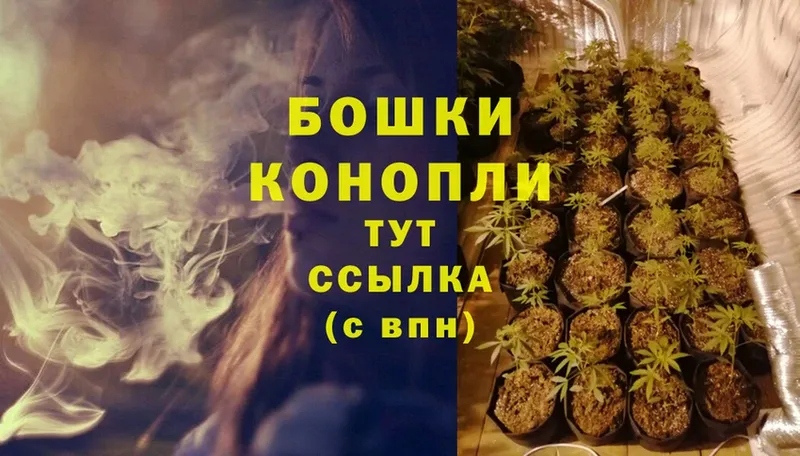 Конопля Bruce Banner  блэк спрут зеркало  Инза 